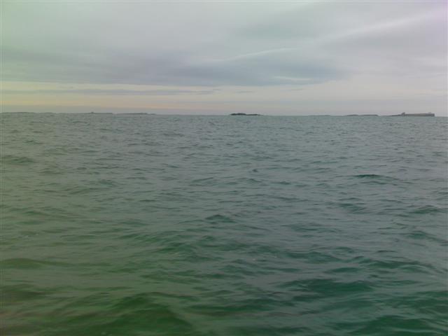 image 113 small